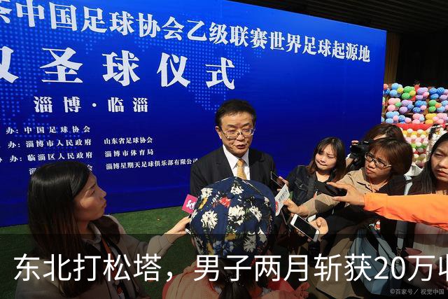 东北打松塔，男子两月斩获20万收入背后的艰辛与冒险