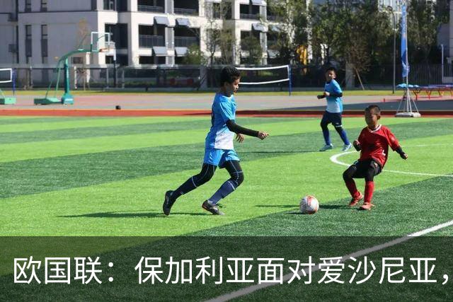 欧国联：保加利亚面对爱沙尼亚，主胜或平局成热门预测